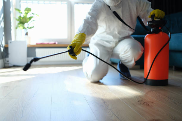 Trusted Odor Removal service in Coopersville, MI - Four Month Blood Cleanse